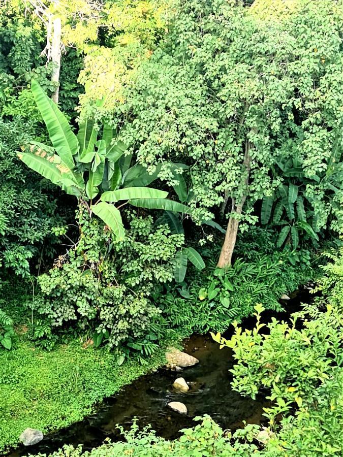 Holiday Cottage By The River, أروشا المظهر الخارجي الصورة
