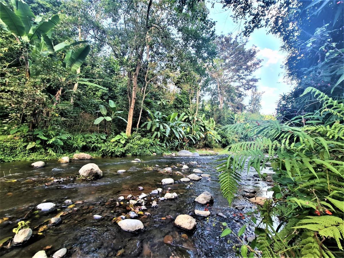 Holiday Cottage By The River, أروشا المظهر الخارجي الصورة